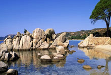 华体会官方入口-尼日利亚女足主帅公布战术调整